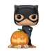 Женщина-кошка с тыквой (Catwoman with Jack-o-Lantern (Эксклюзив Gamestop)) (PREORDER EndOct24) из комиксов ДС Комикс