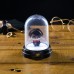 Гарри Поттер светильник (Harry Potter Mini Bell Jar Light) из фильма Гарри Поттер
