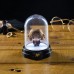 Гермиона светильник (Hermione Mini Bell Jar Light (PREORDER QS)) из фильма Гарри Поттер