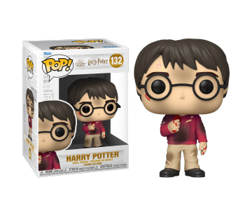Harry Potter with Philosopher’s Stone 20th Anniversary из фильма Harry Potter 132