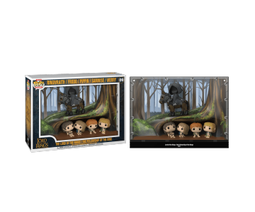 The Fellowship of the Ring Deluxe Pop! Moment из фильма The Lord of the Rings 09